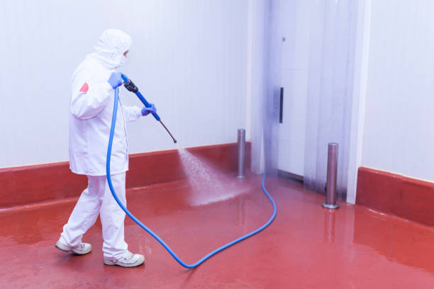Best House Exterior Washing  in Groton, SD